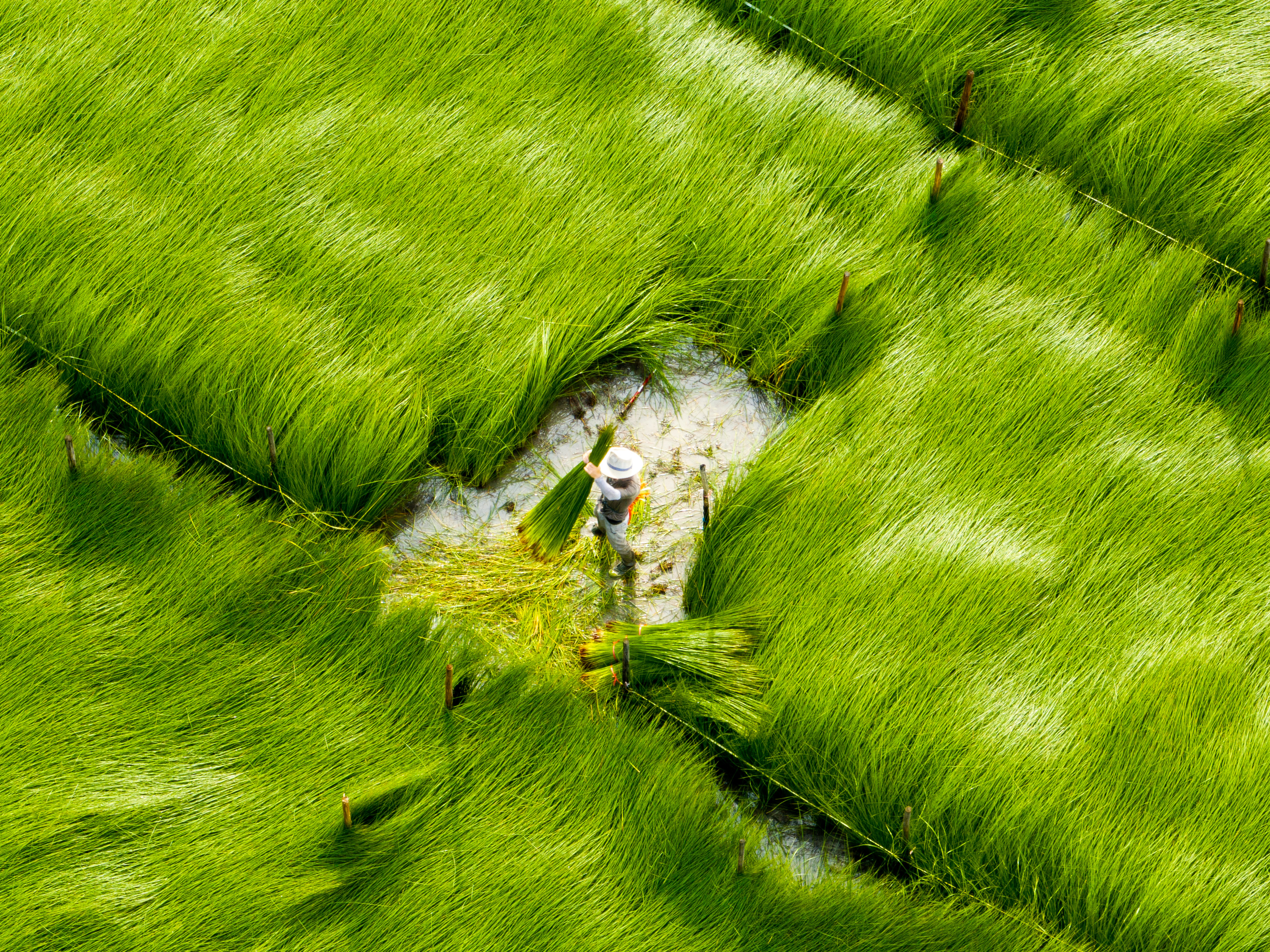 DJI_0527.jpg
